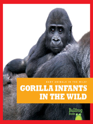 cover image of Gorilla Infants in the Wild